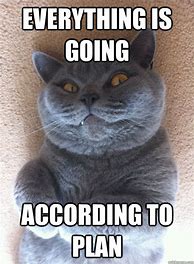 Image result for Evil Cat Meme