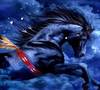 Image result for Indian Black Horse