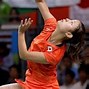 Image result for Badminton Volleyball