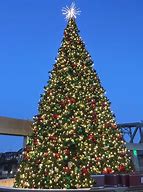 Image result for Christmas Tree Down by the Water