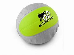 Image result for Indestructible Outdoor Dog Toys