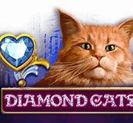 Image result for Diamond Cat