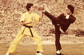 Image result for Rare Kung Fu Movies