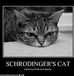 Image result for Schrodinger's Meme