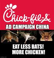 Image result for China Bats Meme