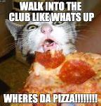 Image result for Sami Pizza Cats Meme