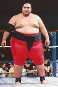 Image result for WWE Yokozuna