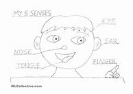 Image result for 5 Senses Puppets