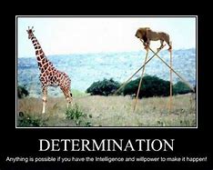 Image result for Stupid Motivational Posters