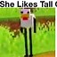 Image result for Minecraft Meme Wallpaper