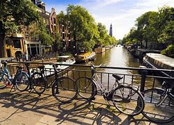 Image result for Amsterdam in May