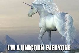 Image result for I'm a Unicorn Meme