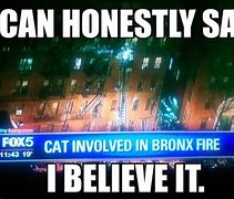 Image result for Bronx Meme Unclean