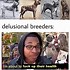 Image result for Cute Dog Pics with Memes