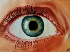 Image result for Human Eye Art