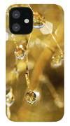 Image result for Golden Phone Case for iPhone 12