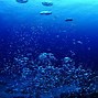 Image result for Deep Sea Desktop Wallpaper