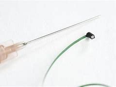 Image result for Smallest Endoscope Camera