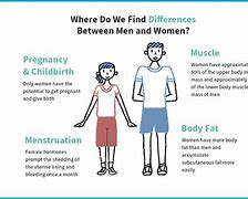 Image result for Physical Differences Men vs Women