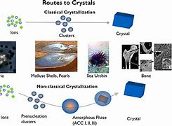 Image result for Crystal Cell Phones