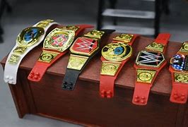 Image result for WWE Championship Belt Toy