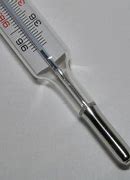 Image result for Mercury Element Thermometer