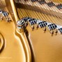 Image result for Steinway Model D Piano