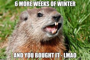 Image result for Memes About Winter