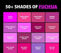 Image result for Fucshia Couleur