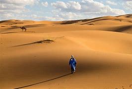 Image result for Morocco Desert