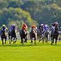 Image result for Leicester Racecourse