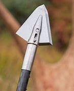 Image result for Inch and a Quarter Single Bevel Broadheads