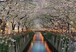 Image result for Tokyo River