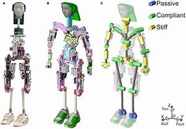 Image result for Humanoid Robot Schematics