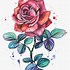 Image result for Transparent Rose Gold Background JPEG