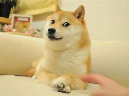 Image result for Doge Meme Template Tug