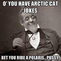 Image result for Arctic Cat Memes