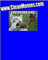 Image result for Clean Memes by Meme Planet