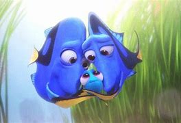 Image result for Don't Forget Dory