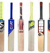 Image result for Cricket Bat Brand Logos