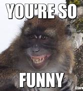 Image result for Happier Monkey Meme