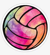 Image result for Volleyball Cartoon Stickers
