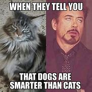 Image result for Proud Cat Meme