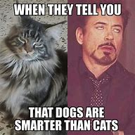 Image result for Funny Cat Memes