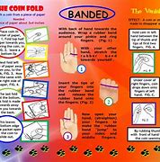 Image result for Magic Tricks to Print