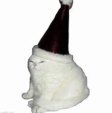 Image result for Party Cat Meme