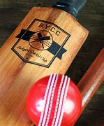 Image result for Backyard Cricket Ashes