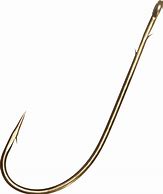 Image result for Stainless J-Hook