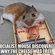 Image result for Mouse Meme Sticker
