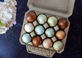 Image result for Dozen Egg Carton